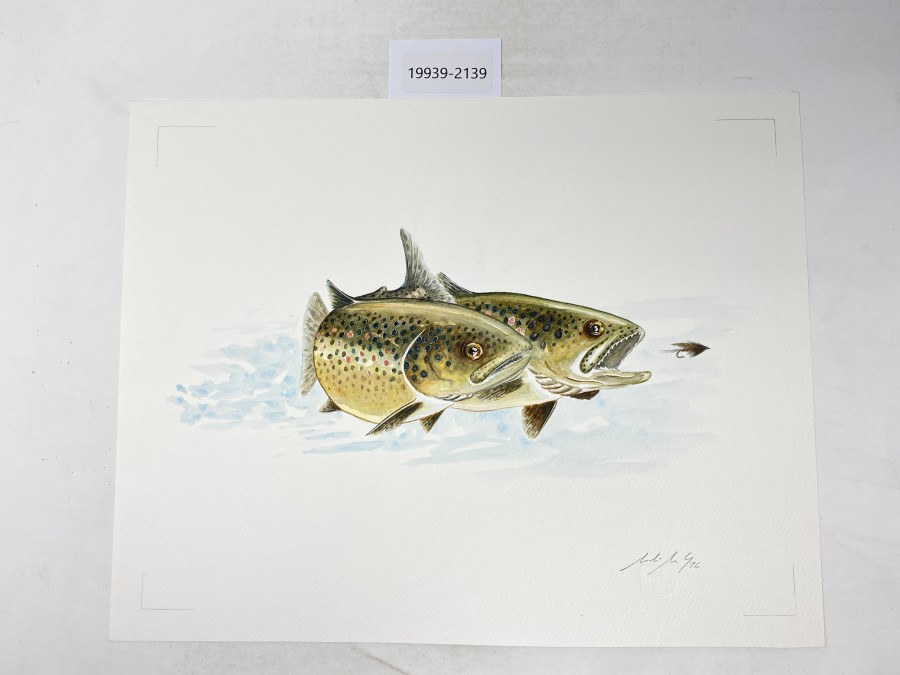 Aquarell von Maden Merkas Goranin, 1996, 2 Forellen, 390x310mm