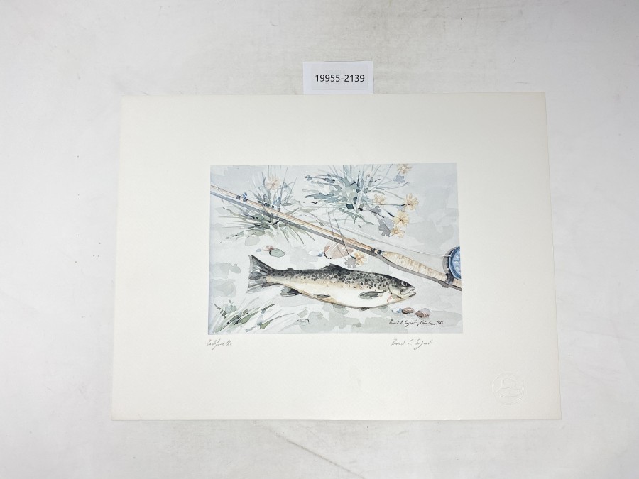 Aquarell von Bernd E. Ergert, Bachforelle, 1983, 400x300mm