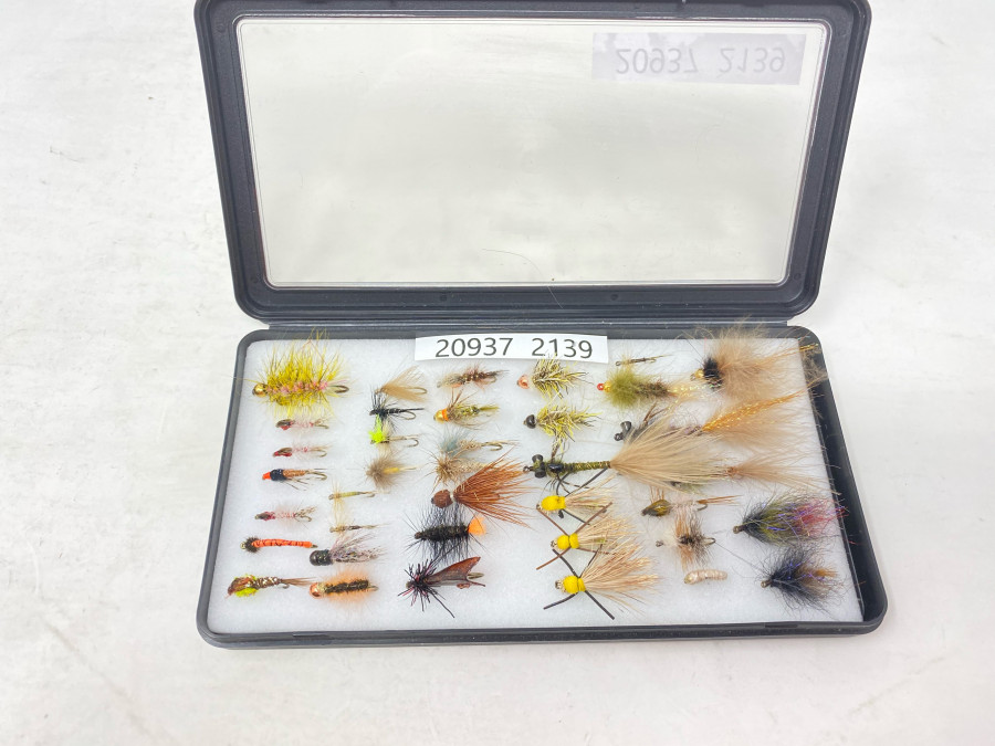 Kunststoff Fliegenbox mit 37 Trockenfliegen, Nymphen und kleinen Streamern