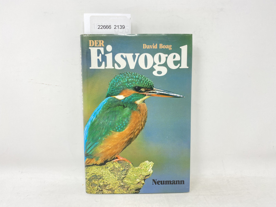 Der Eisvogel, David Boag, 1983