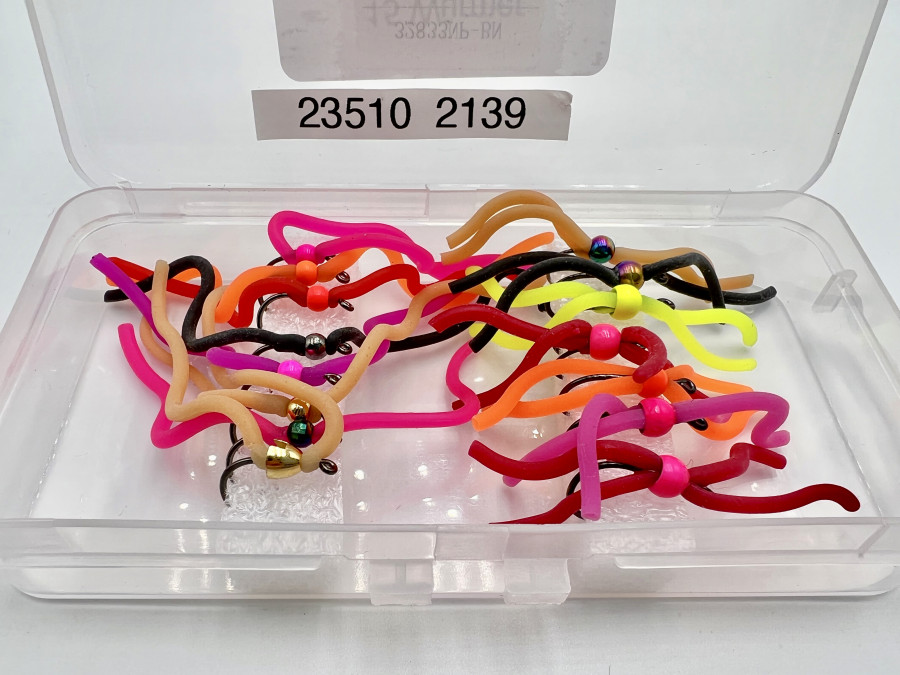 Kunststoffbox mit 15 Würmern (Fanggarantie)