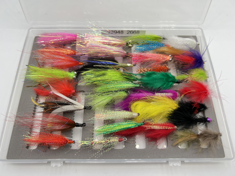Kunststoff Fliegenbox, geschlitzer Schaumstoff, 33 Steelhead- und Lachsfliegen