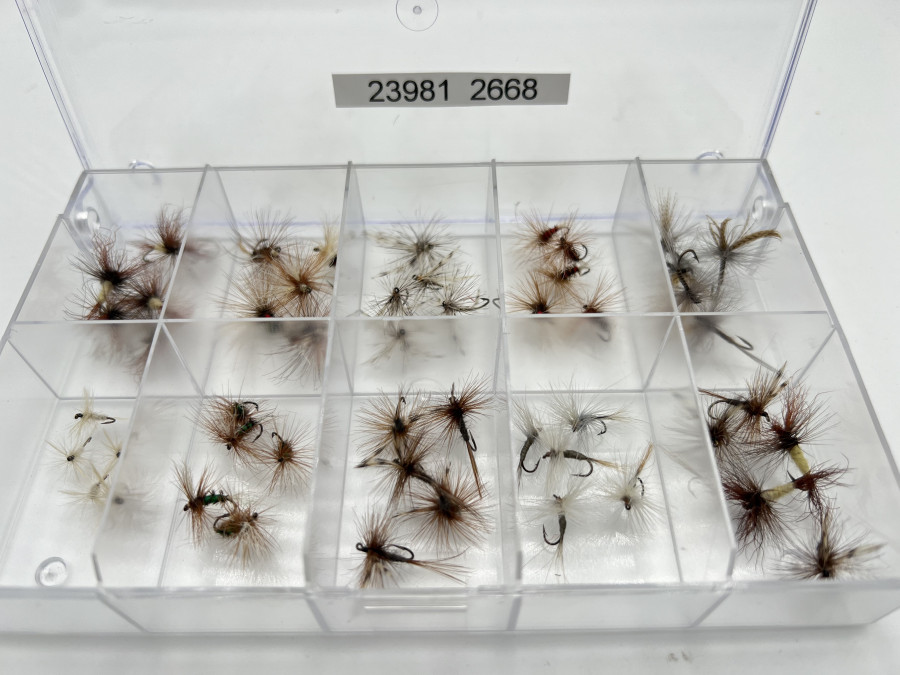Kunststoffbox mit 50 Trockenfliegen für Äsche und Forelle