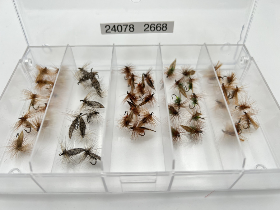 Kunststoffbox mit 50 Sedge, Ggrösse 12, brauchbare Qualität
