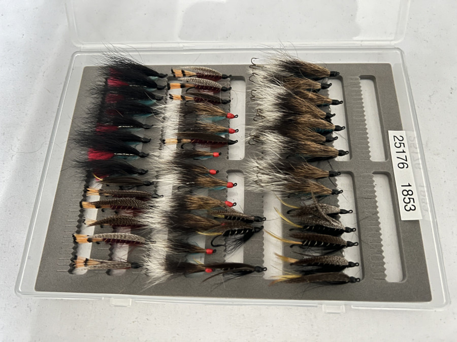 Kunststoffbox mit geschlitzten Schaumstoff, 41 Hairwing- und Lachsfliegen