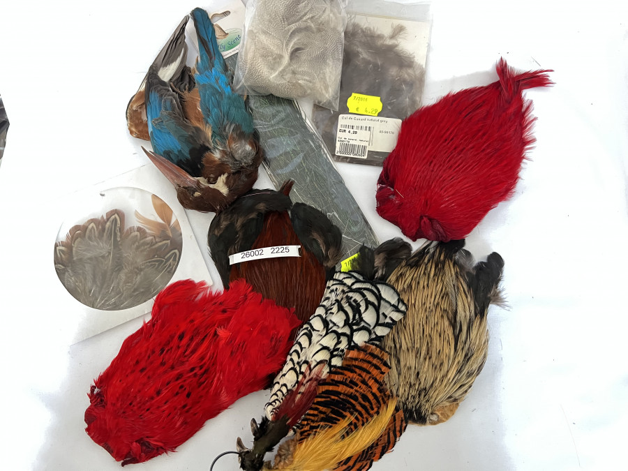 Federn, Fasan, Indische Hahnenbälge, Ente, Goldfasan, Silberfasan, Pfau
