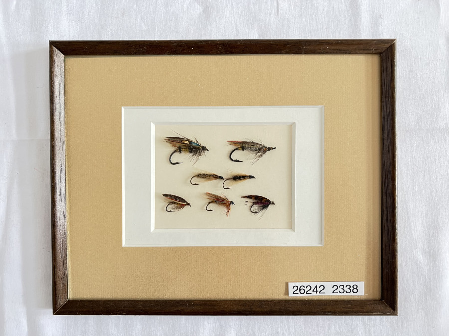 Vintage Fliegen, 2 Lachsfliegen und 5 Nassfliegen im Bilderrahmen hinter Glas, 240x190mm, aus England