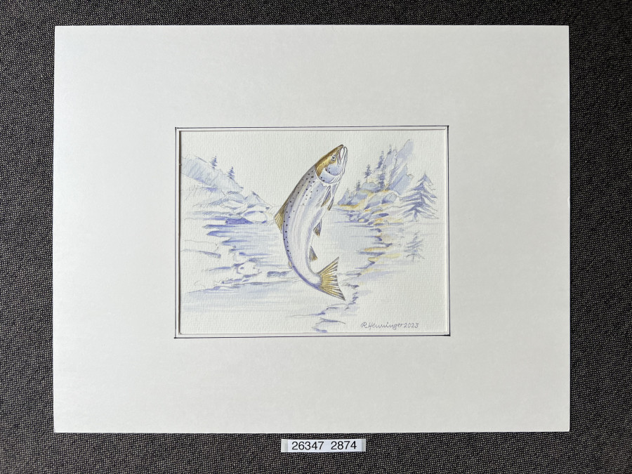 Aquarell, Grösse 38x30cm, Lachs, Reinhold Henninger, 2023