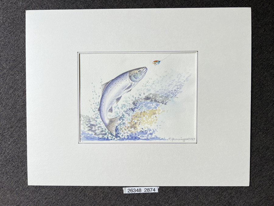 Aquarell, Grösse 38x30cm, Lachs mit Lachsfliege, Reinhold Henninger, 2023