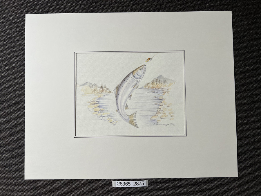 Aquarell, Grösse 38x30cm, Lachs, Reinhold Henninger, 2023
Gespendet von Reinhold Henninger zu Gunsten des Kinderhospiz München