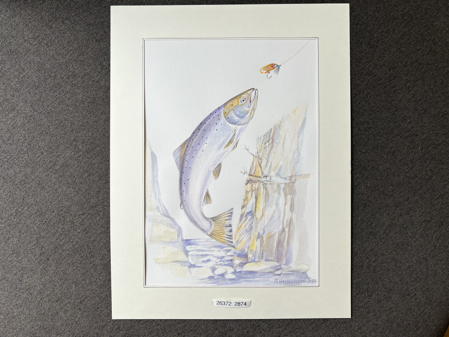 Aquarell, Grösse 50x38cm, Lachs, Reinhold Henninger, 2023