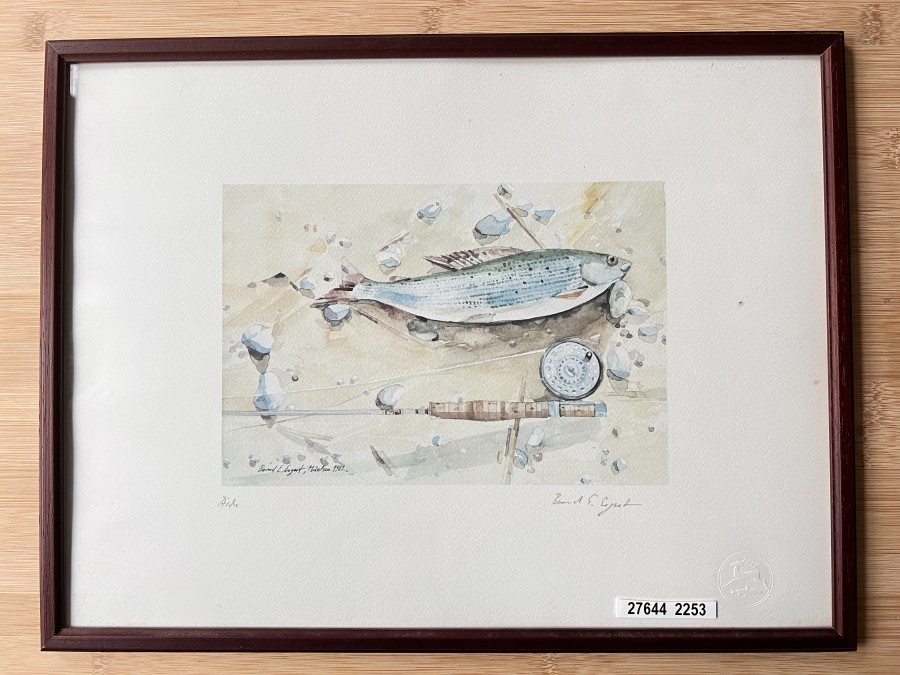 Aquarell Druck vom Kunstmaler, Historiker (ehemaliger Leiter des Deutschen Jagd- und Fischereimuseums) und
Buchautor Bernd E. Ergert, München 1972, Äsche, Grösse 415x315mm, schöner Holzrahmen