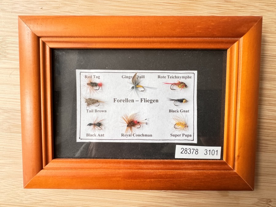 Forellenfliegen hinter Glas, im Holzrahmen, 19x14cm, Red Tag, Ginger Quill, Rote Teichnymphe. Tail Brown, Black Gnat, Black Ant, Royal Couchman, Super Pupa