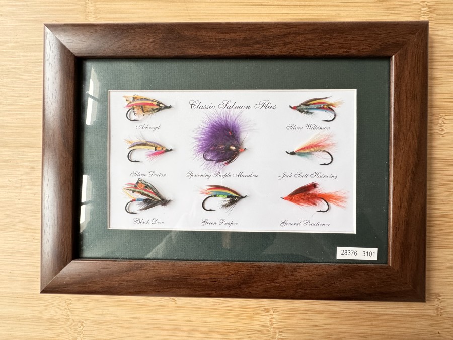 Classic Salmon Flies, 8 Stück, im dunkelbraunen Holzrahmen, 36x26cm, Ackroyd, Silver Wilkinson, Silver Doctor, Spaying Purple Marabou, Jock Scott Hairwing, Black Dose, Green Reaper, General Practioner