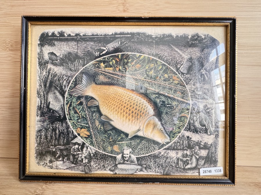 Anglerbild, Schuppenkarpfen, Druck, verschiedene Anglermotive, hinter Glas, 34x27cm, Rahmen leicht beschädigt