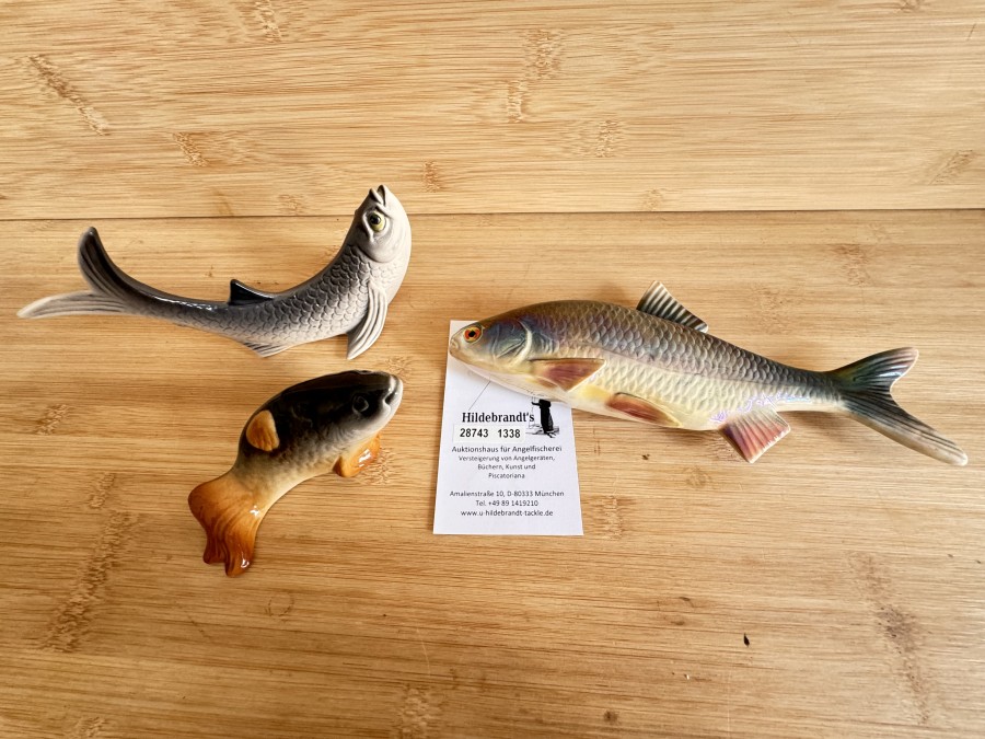 3 Dekofische, Jema, Holland und 2 unbekannte Fische