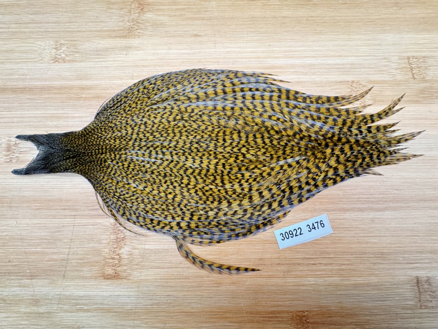 Hahnenbalg, Metz, Grizzly braun gefärbt, sehr gute Qualität