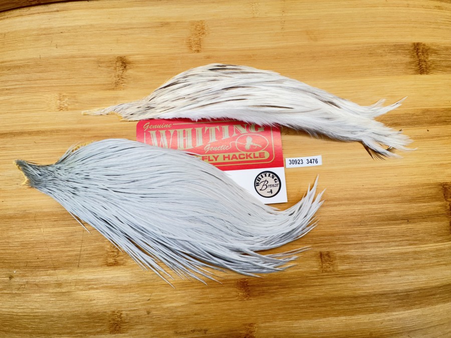 2 halbe Hahnebälge, Whiting Farm, Bronze, creme und hellgrau