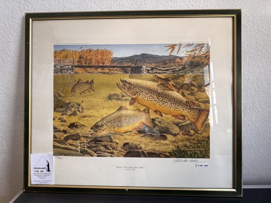 Druck,  im passenden Holzrahmen,  hinter Glas, Print 234 von 450, Brown Trout and Light Cahill by Eldridge Hardie, Signiert Eldridge Hardie mit Bleistift, Grösse 63x53mm, leichte Gebrauchsspuren