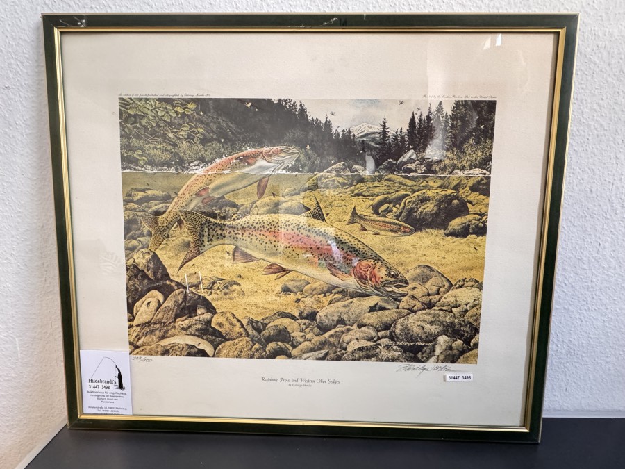 Druck,  im passenden Holzrahmen,  hinter Glas, Print 233 von 450, Rainbow Trout and Western Olive Sedges, Signiert Eldridge Hardie mit Bleistift, Grösse 63x53mm, leichte Gebrauchsspuren