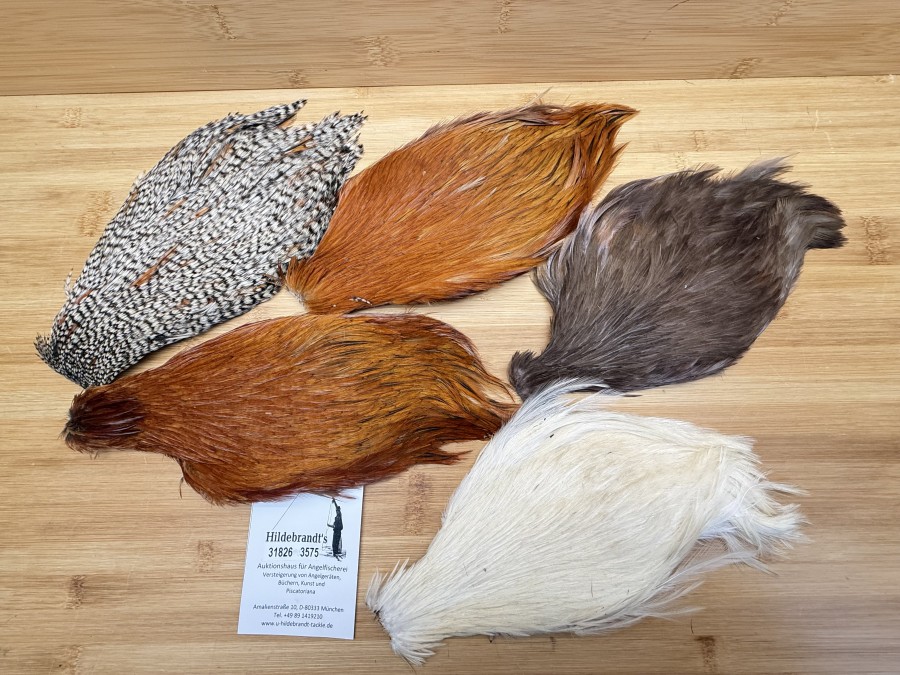 Hahnenbälge, China, 5 verschiedene Farben