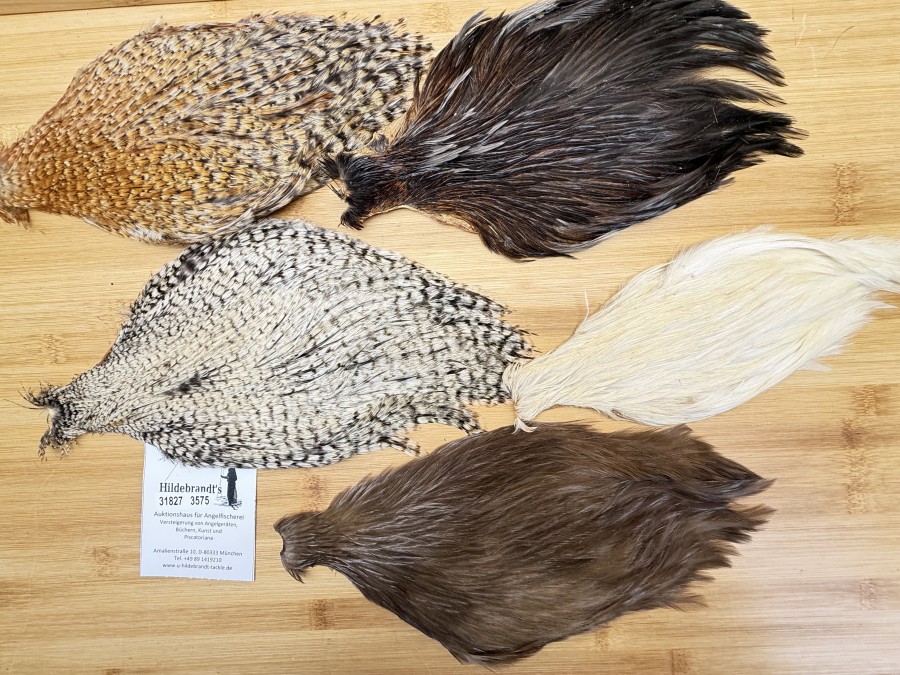 Hahnenbälge, China, 5 verschiedene Farben