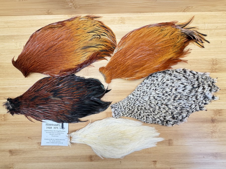 Hahnenbälge, China, 5 verschiedene Farben