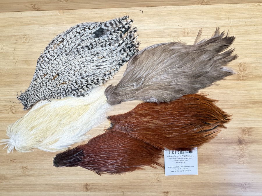 Hahnenbälge, China, 5 verschiedene Farben