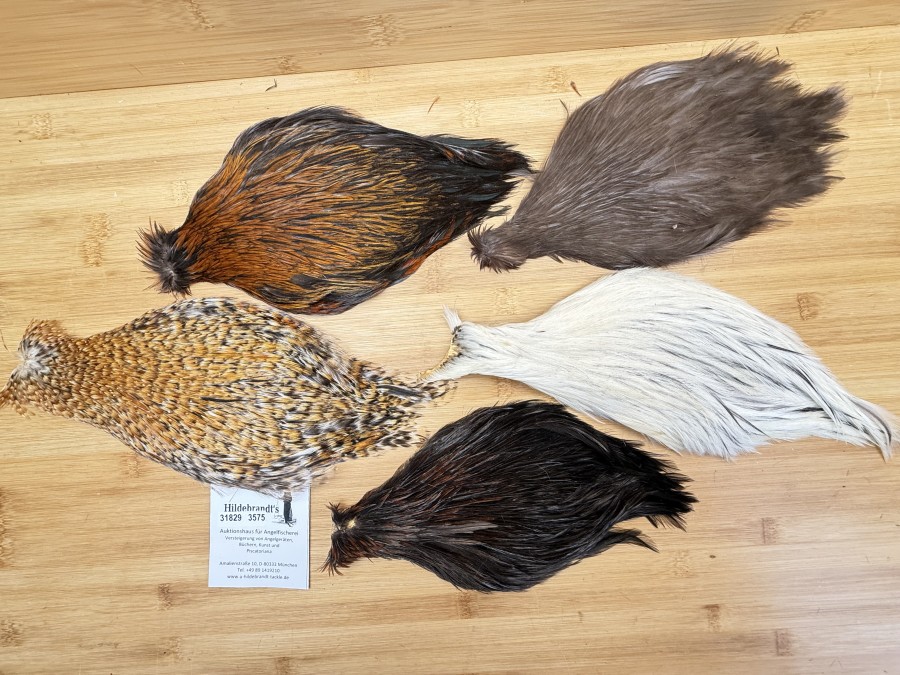 Hahnenbälge, China, 5 verschiedene Farben