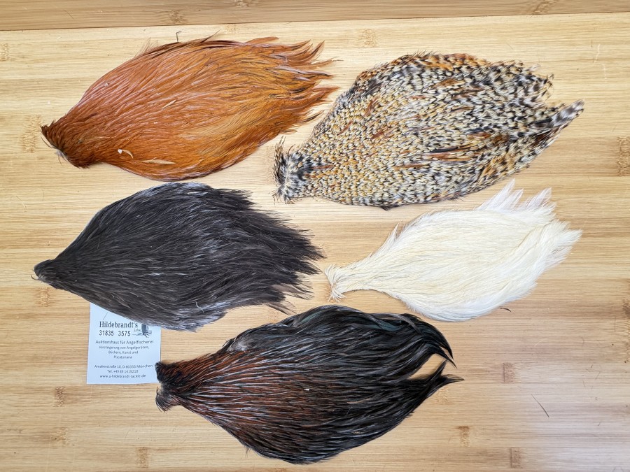 Hahnenbälge, China, 5 verschiedene Farben