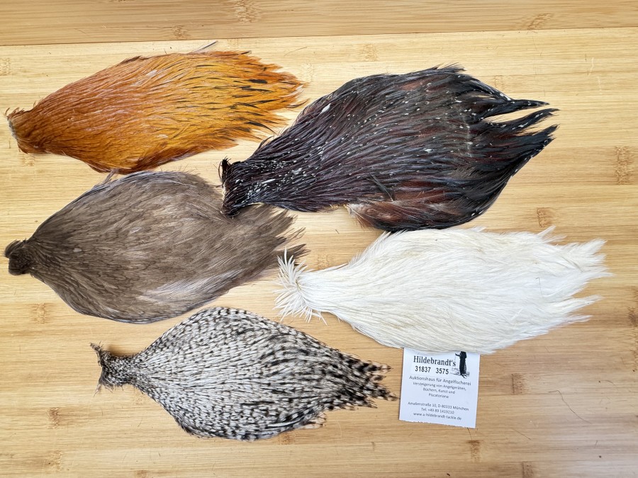 Hahnenbälge, China, 5 verschiedene Farben