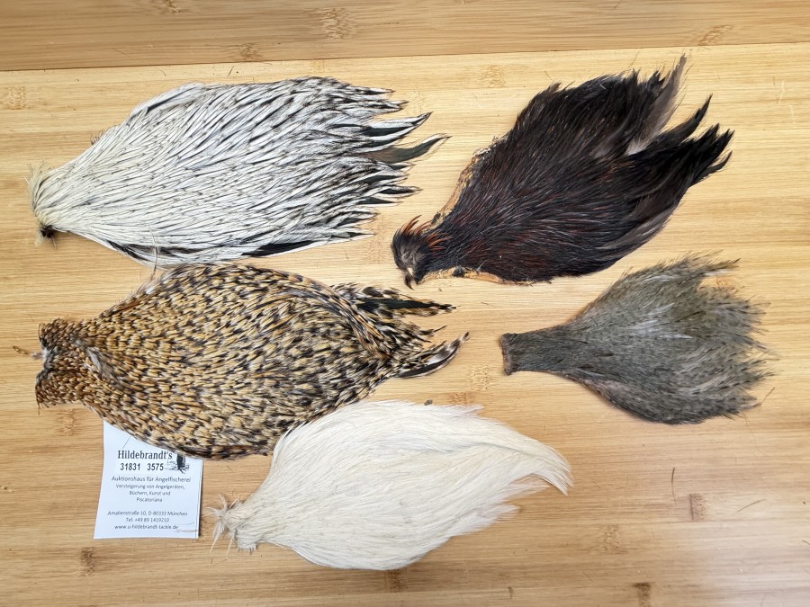 Hahnenbälge, China, 5 verschiedene Farben