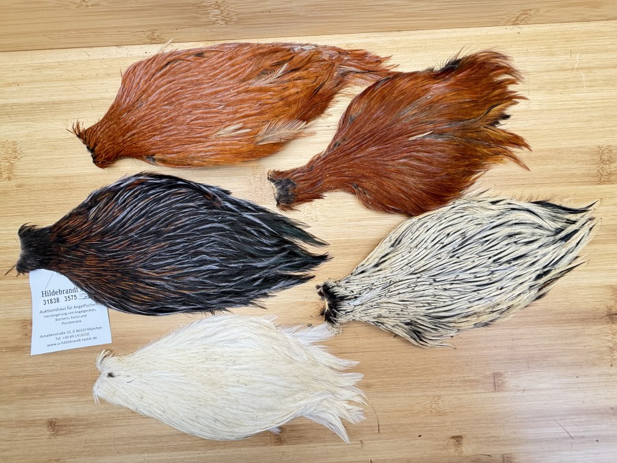 Hahnenbälge, China, 5 verschiedene Farben