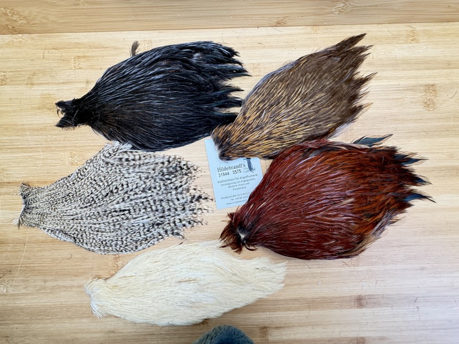 Hahnenbälge, China, 5 verschiedene Farben