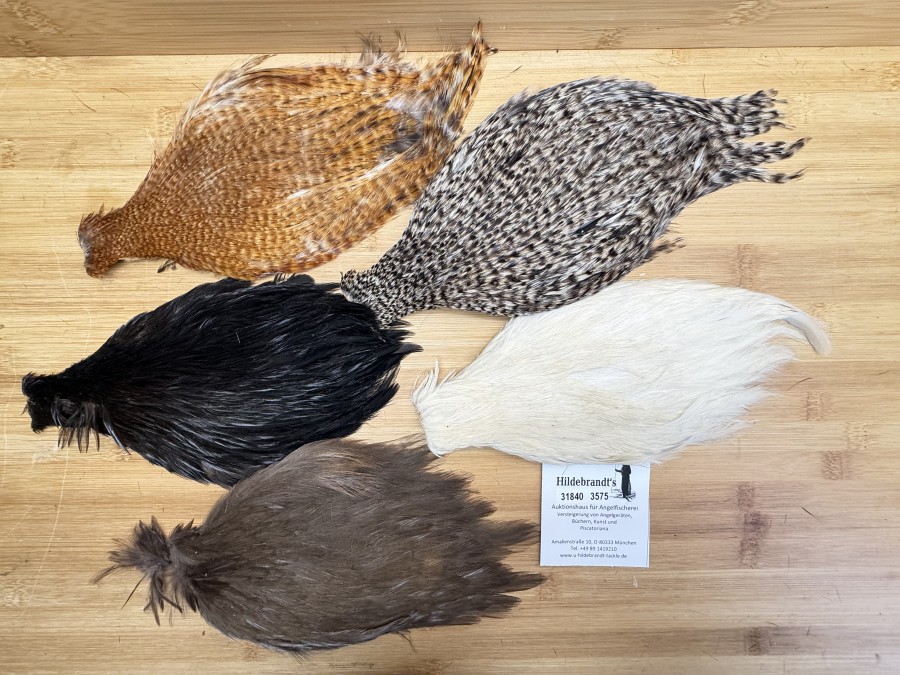 Hahnenbälge, China, 5 verschiedene Farben