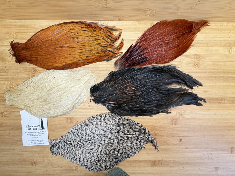 Hahnenbälge, China, 5 verschiedene Farben