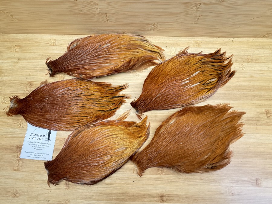 Hahnenbälge, China, 5 verschiedene braun Farben