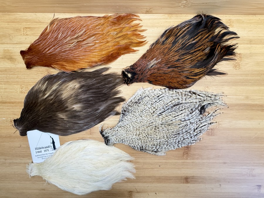 Hahnenbälge, China, 5 verschiedene Farben