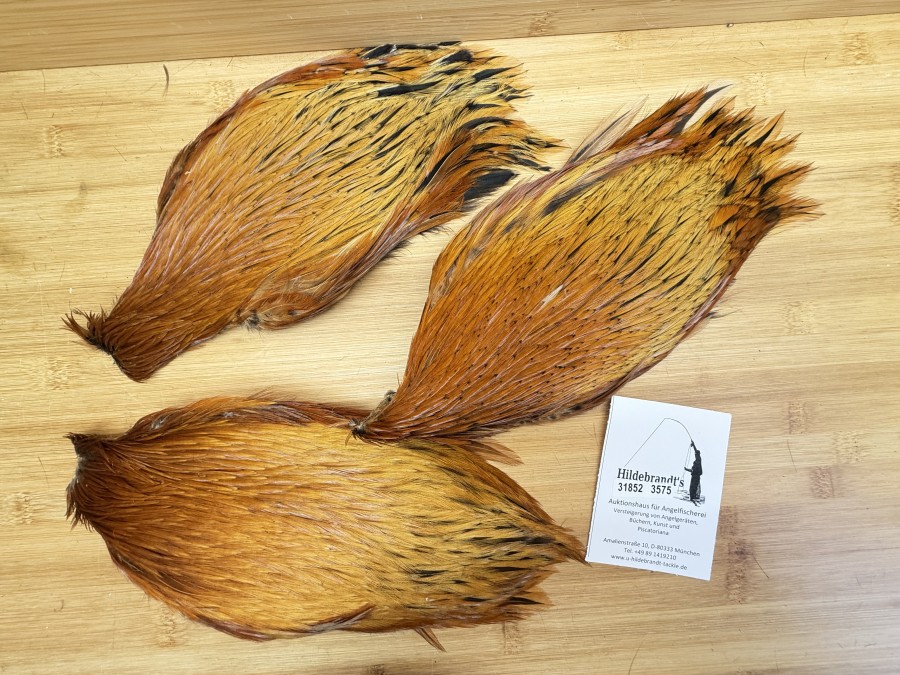 Hahnenbälge, China, 3 verschiedene braune Farben