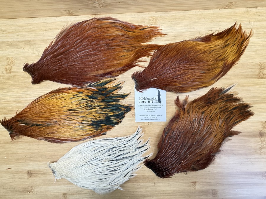 Hahnenbälge, China, 5 verschiedene braun Farben