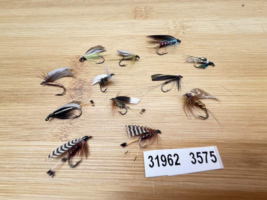 Nassfliegen, Bavaria Fliegen, 12 verschiedene Muster, #10 - 12