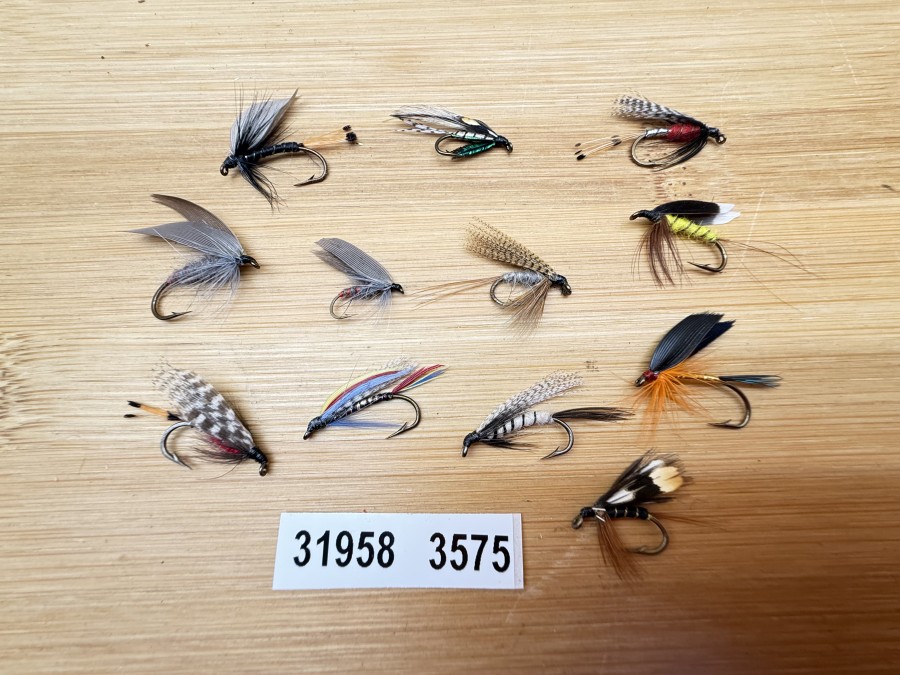 Nassfliegen, Bavaria Fliegen, 12 verschiedene Muster, #10 - 12