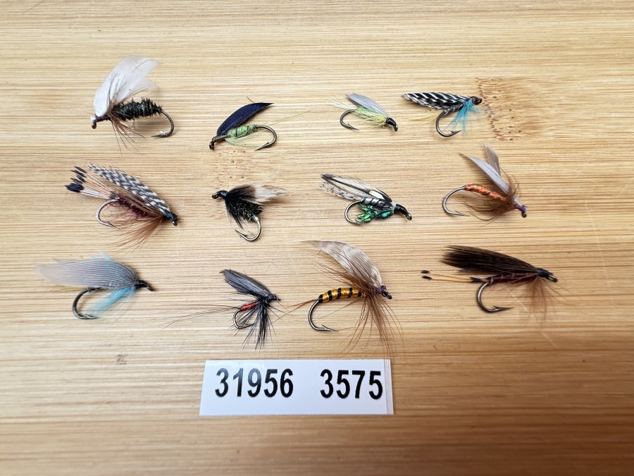 Nassfliegen, Bavaria Fliegen, 12 verschiedene Muster, #10 - 12