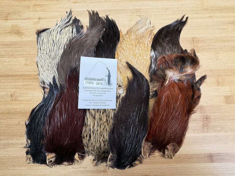 Hahnenbälge, Indien, 10 Stück, verschiedene Farben