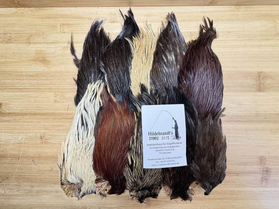 Hahnenbälge, Indien, 10 Stück, verschiedene Farben