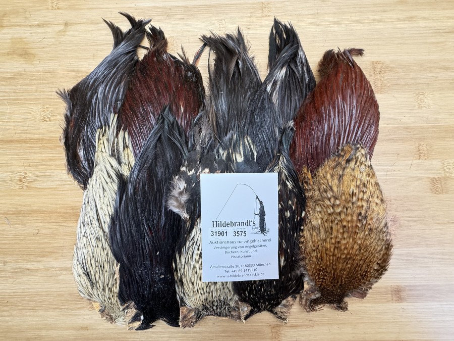 Hahnenbälge, Indien, 10 Stück, verschiedene Farben