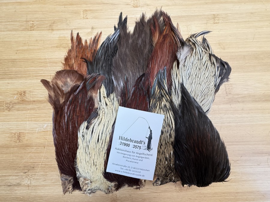 Hahnenbälge, Indien, 10 Stück, verschiedene Farben