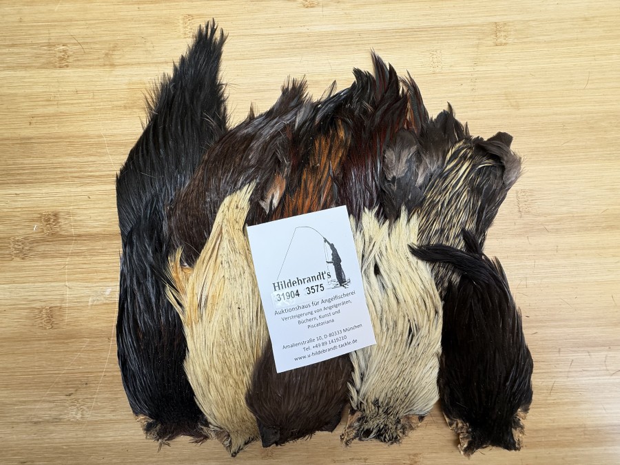 Hahnenbälge, Indien, 10 Stück, verschiedene Farben