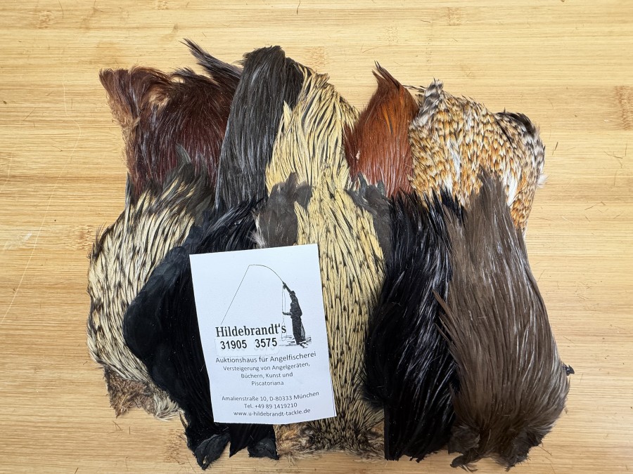 Hahnenbälge, Indien, 10 Stück, verschiedene Farben