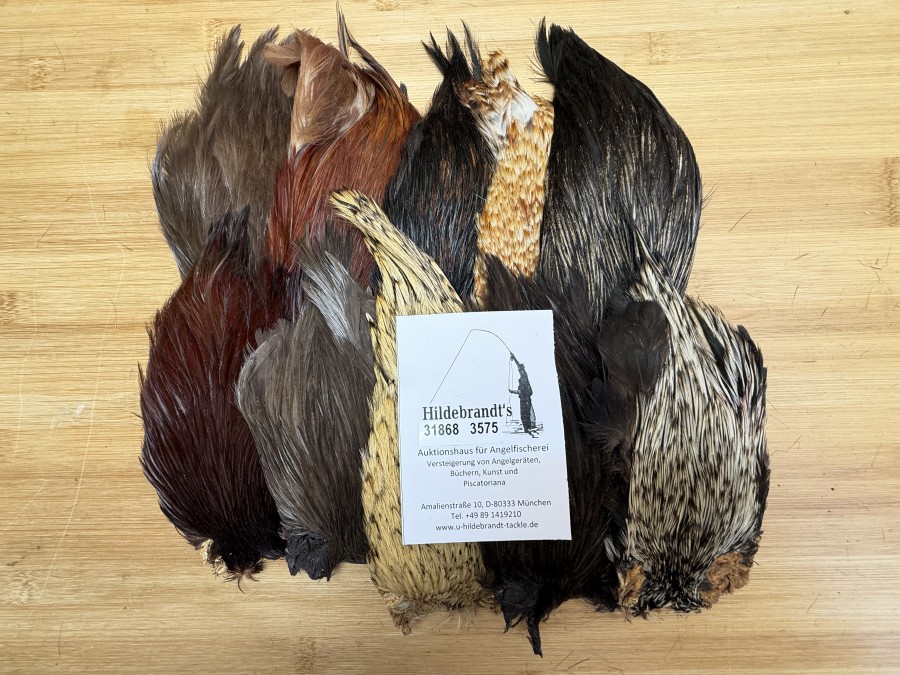 Hahnenbälge, Indien, 10 Stück, verschiedene Farben